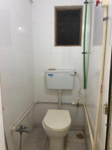 Bathroom Image of 1000 Sq.ft 2 BHK Apartment / Flat for rent in Devi Prasad Green Park CHS, Airoli Navi Mumbai for Rs. 40000