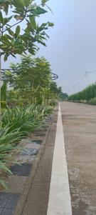 Image of 1406 Sq.ft Residential Plot / Land for sale in Bhilai Marshalling Yard, Charoda for Rs. 2390200