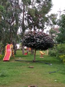Image of 900 Sq.ft 2 BHK Independent House for sale in Satpal Singh Chouhan Redwood Park Premium, Rau, Indore for Rs. 3900000