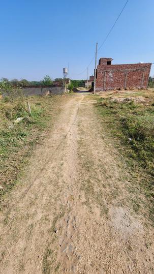 Dhanauni Main Image 1
