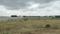 Kalapatti Plot View 2