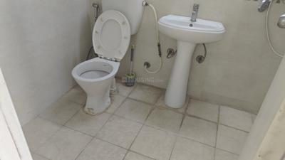 Image of 1075 Sq.ft 2 BHK Apartment / Flat for rent in Gaur City 7th Avenue, Noida Extension, Greater Noida for Rs. 21000