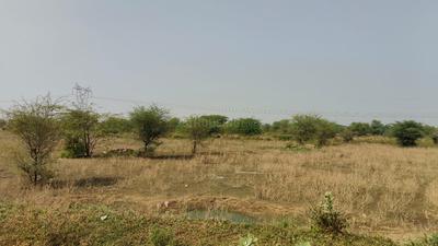 Sector 19 Plot View 1