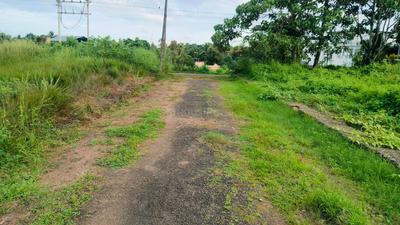 keralarealty Plot View 2
