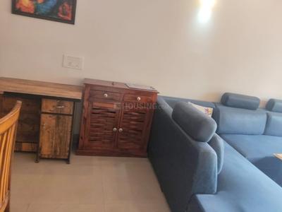 Hall Image of 1200 Sq.ft 2 BHK Apartment / Flat for rent in RPS Savana, Sector 88 Faridabad for Rs. 30000