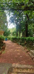 Image of 778 Sq.ft 3 BHK Apartment / Flat for sale in Natu Ozone Valley, Kalwa, Thane for Rs. 14000000