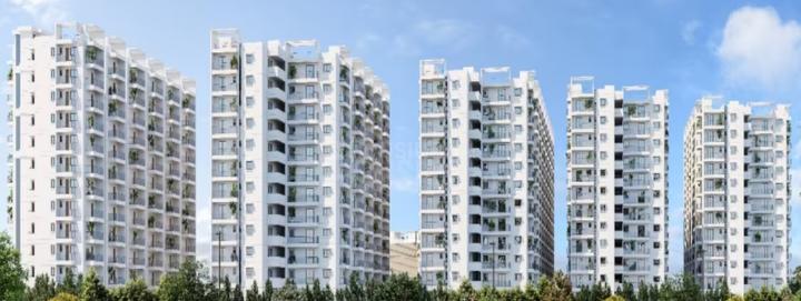 Sanareli Main Image 1