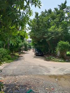Wazirabad Plot View 3