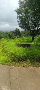 Image of 2207 Sq.ft Residential Plot / Land for sale in Karjat, Thane for Rs. 3310500