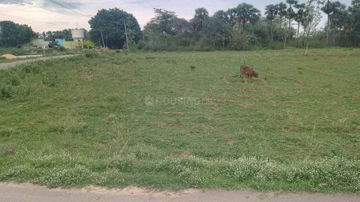 Vandavasi Main Image 1