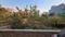 New Palam Vihar Phase 1 Plot View 2