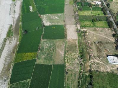 Image of 225000 Sq.ft Residential Plot / Land for sale in Vrindaban Bangar, Vrindavan for Rs. 45000000