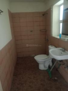 Image of 953 Sq.ft 2 BHK Apartment / Flat for rent in Jaypee Aman, Sector 151, Noida for Rs. 19000