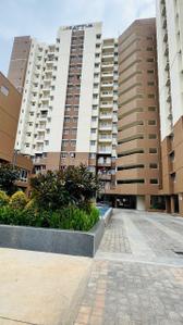 Image of 875 Sq.ft 2 BHK Apartment / Flat for sale in Sattva Ashraya, Lakshmisagara, Bengaluru for Rs. 7100000