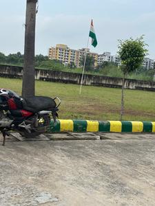 Ami greens Plot View 3