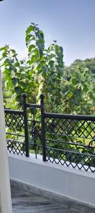 Balcony Image of 1300 Sq.ft 3 BHK Apartment / Flat for rent in Bariatu Ranchi for Rs. 25000