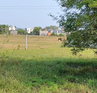 Residential Plot