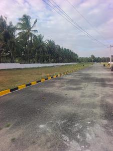 Thamaraikulam Plot View 2