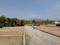 Thano Plot View 2