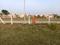 Hadapsar Main Image 1