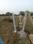 Manish Nagar Plot View 2