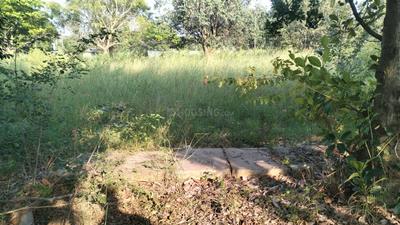 Image of 1200 Sq.ft Residential Plot / Land for sale in Addevishvanathapura, Bengaluru for Rs. 7800000