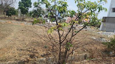 Image of 1200 Sq.ft Residential Plot / Land for sale in AVS Jasmine Valley, Bagalur, Hosur for Rs. 3840000