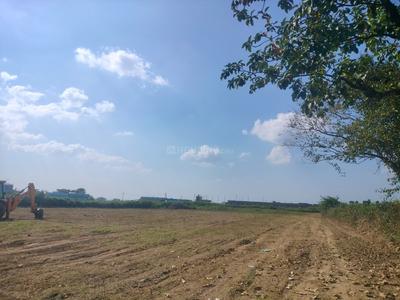 Bhauwala Plot View 2