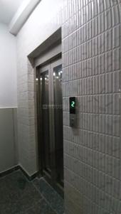 Image of 730 Sq.ft 3 BHK Builder Floor for rent in Dashrath Puri, New Delhi for Rs. 22000