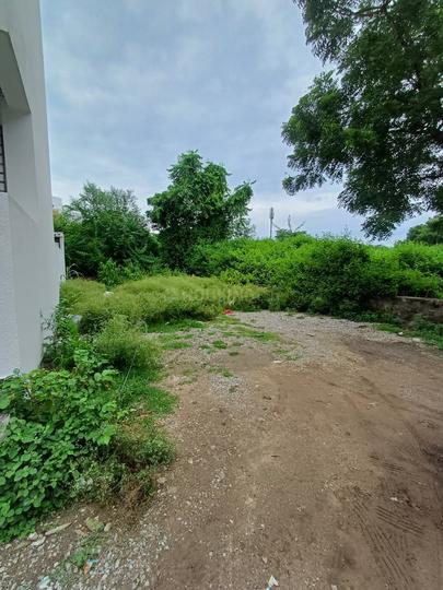 flora complex Main Image 1