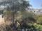 Khote Nagar Plot View 2
