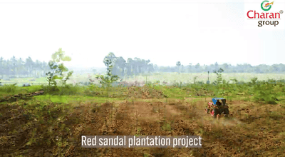 Image of 200 Sq.ft Residential Plot / Land for sale in Kothavalasa, Visakhapatnam for Rs. 1200000