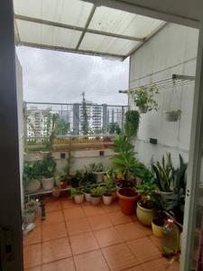 Balcony Image of 830 Sq.ft 2 BHK Apartment / Flat for rent in Sancheti Belcastel, Mundhwa Pune for Rs. 35000