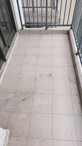 Image of 2262 Sq.ft 3.5 BHK Apartment / Flat for sale in Godrej Frontier, Sector 80, Gurgaon for Rs. 22500000