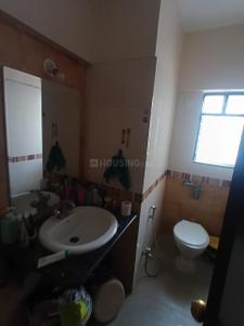 Bathroom Image of 981 Sq.ft 2 BHK Apartment / Flat for rent in Gera Emerald City South, Kharadi Pune for Rs. 52000