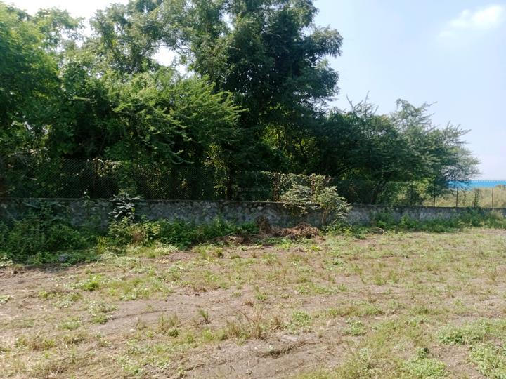 goldmark shrishti Main Image 1