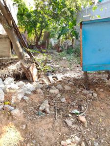 Image of 840 Sq.ft 2 BHK Independent House for sale in Thoraipakkam, Chennai for Rs. 6000000