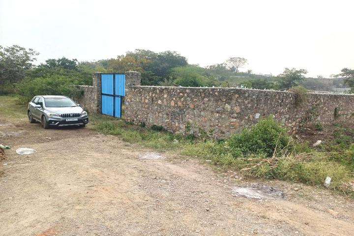 Bedla Main Image 1