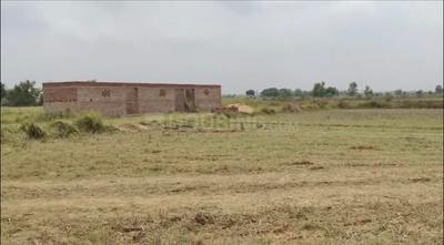 Danapur Plot View 2