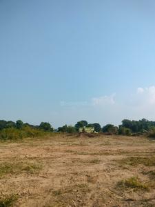 Bhauwala Plot View 3