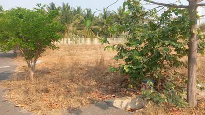 Karamadai teachers colony Plot View 3