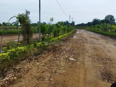 Image of 1000 Sq.ft Residential Plot / Land for sale in Sherghati, Gaya for Rs. 1100000