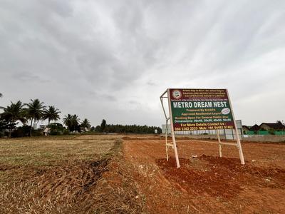 Doddathoguru Plot View 3