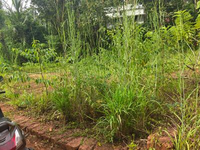 Image of 3484 Sq.ft Residential Plot / Land for sale in Peruvayal, Kozhikode for Rs. 380000