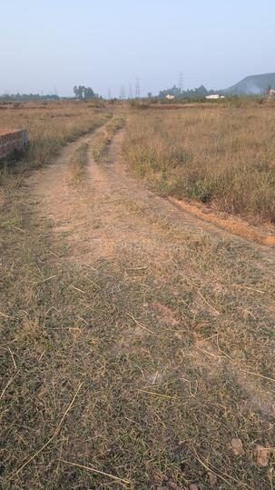 Aryapalli, Patia Main Image 1