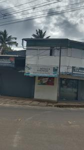 Panayikulam Plot View 2