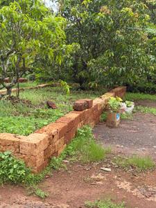 Image of 24976 Sq.ft Residential Plot / Land for sale in Niwali, Ratnagiri for Rs. 9000000