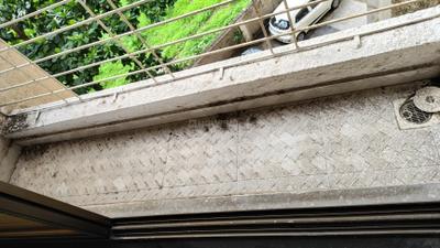 Balcony Image of 670 Sq.ft 1 BHK Apartment / Flat for sale in Ulwe Navi Mumbai for Rs. 6300000