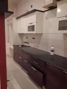 Kitchen Image of 1856 Sq.ft 2 BHK Independent House for rent in Sector-12 Panipat for Rs. 16500