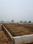 Rohta Main Image 1